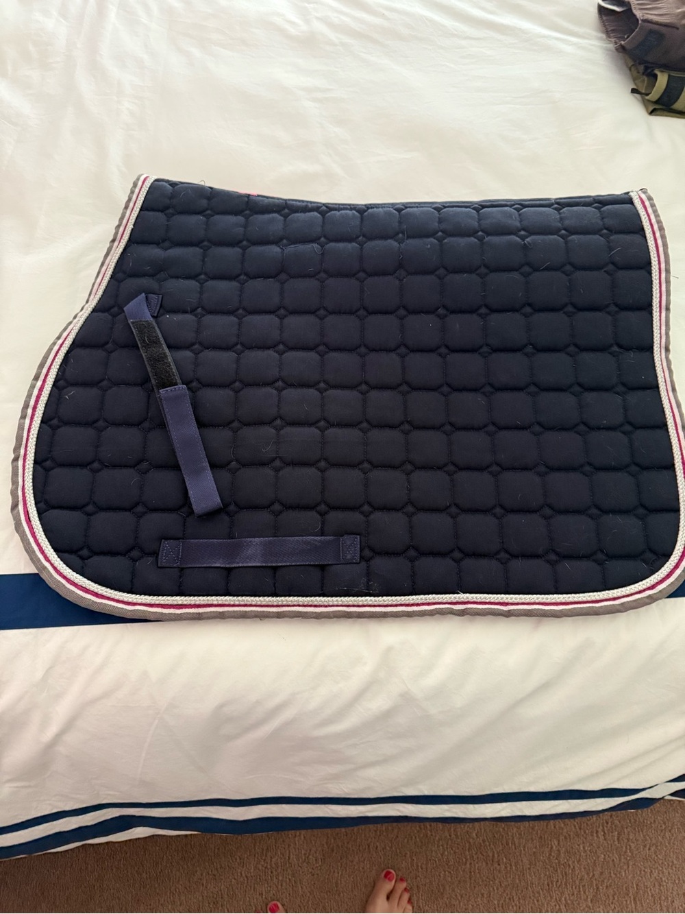 Navy Quilted Saddle Pad with Striped Trim